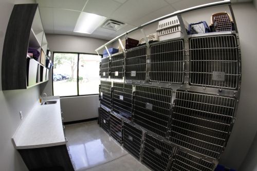 Slide image 16