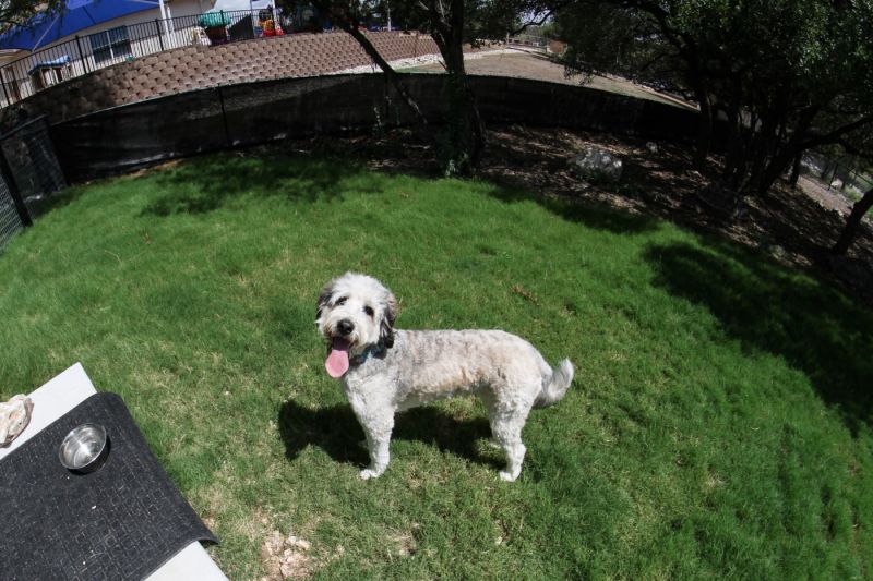 Slide image 21