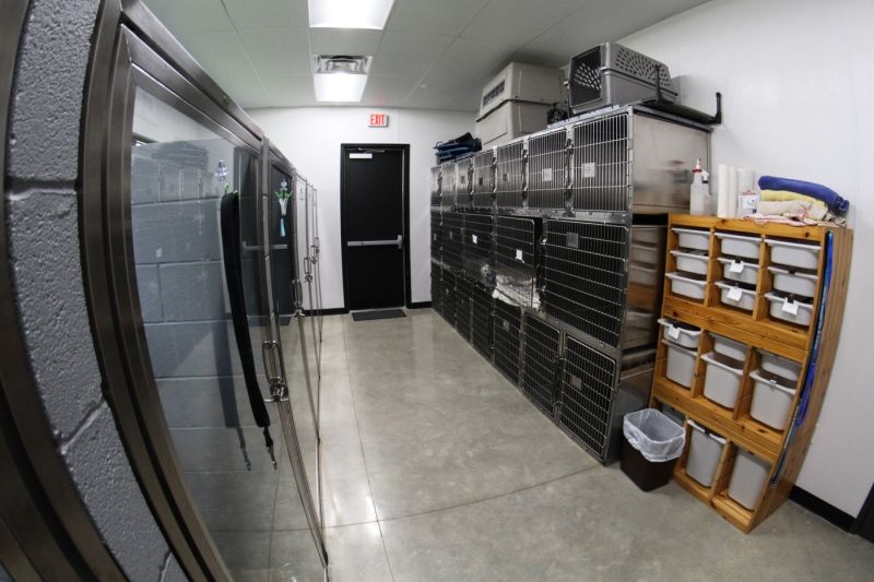 Slide image 20