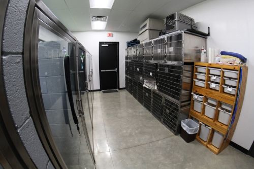 Slide image 20
