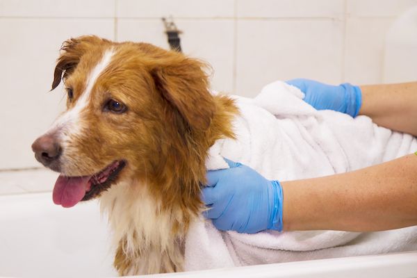 Bathing