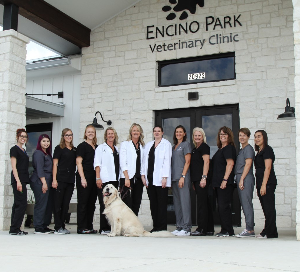 Encino Park Veterinary Clinic - Home